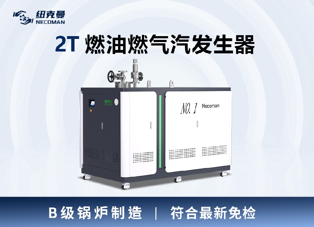 2.0噸 燃?xì)馊加驼羝l(fā)生器