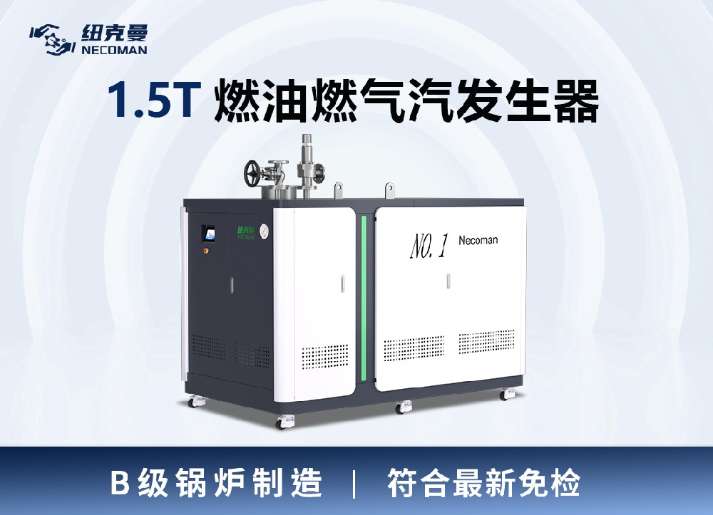 1.5噸 燃?xì)馊加驼羝l(fā)生器