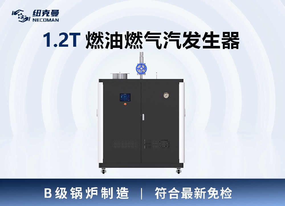 1.2噸 燃?xì)馊加驼羝l(fā)生器