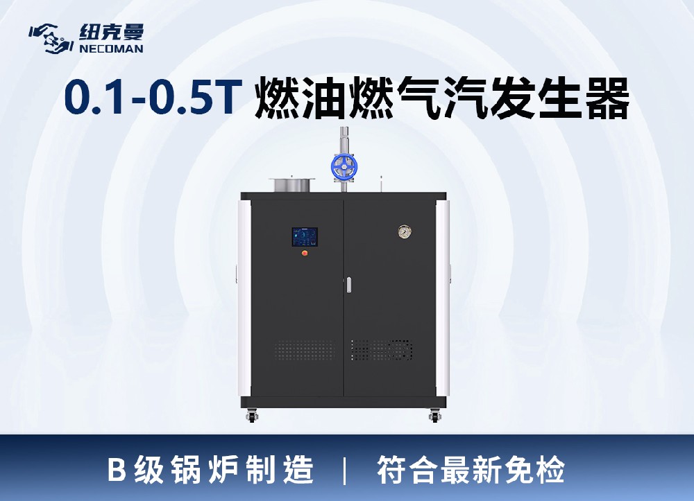 0.1噸-0.5噸 燃?xì)馊加驼羝l(fā)生器