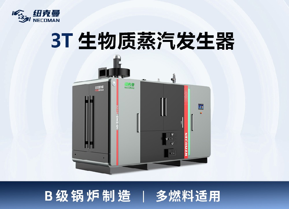 3噸 生物質(zhì)蒸汽發(fā)生器
